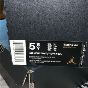 Jordan 12 retro